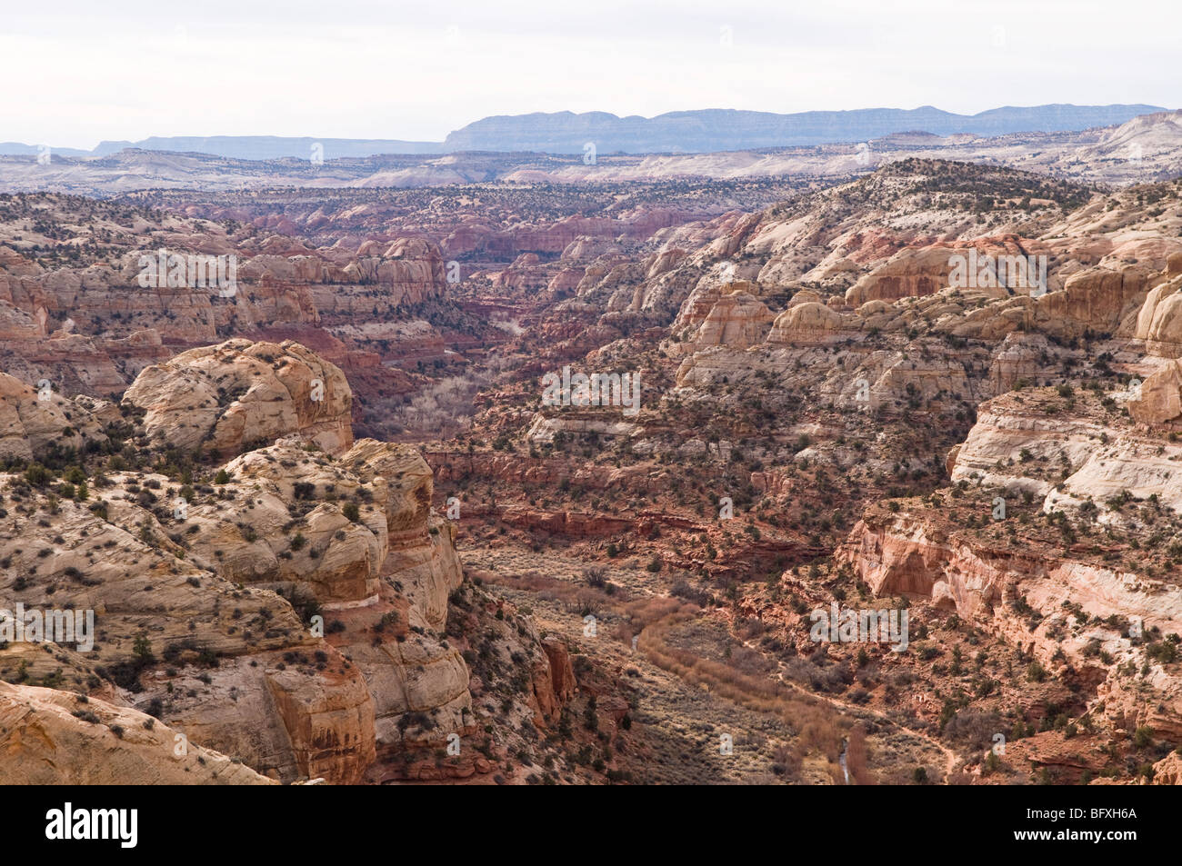 Calf Creek Canyon near Escalante, Utah Stock Photo Alamy