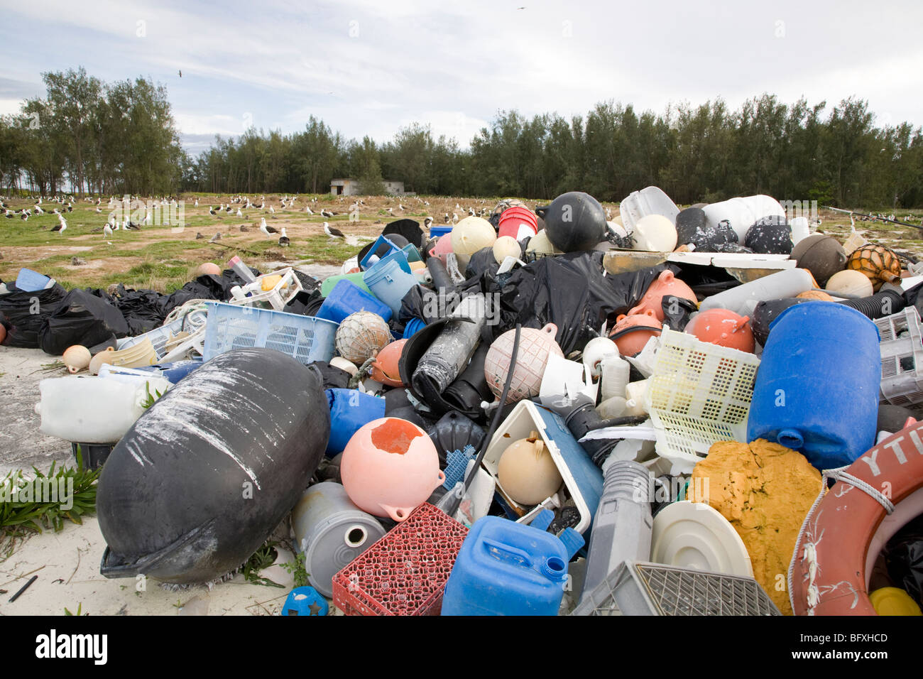 Marine debris brought to Midway Atoll by ocean currents, collected to be shipped off island for recycling or disposal Stock Photo