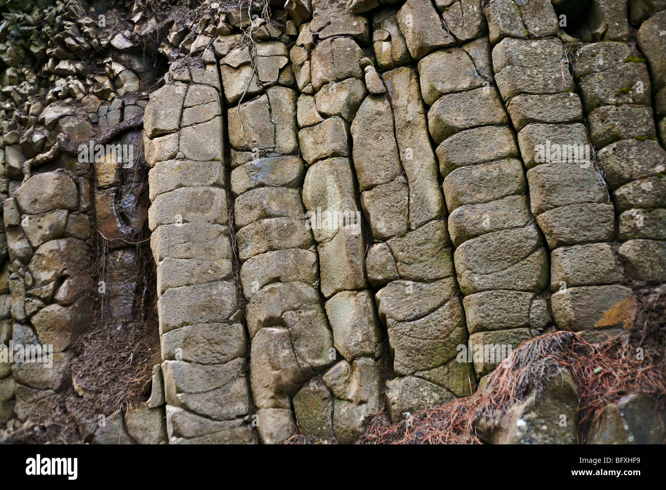 Columnar jointing rock patterns in northern Idaho Stock Photo Alamy