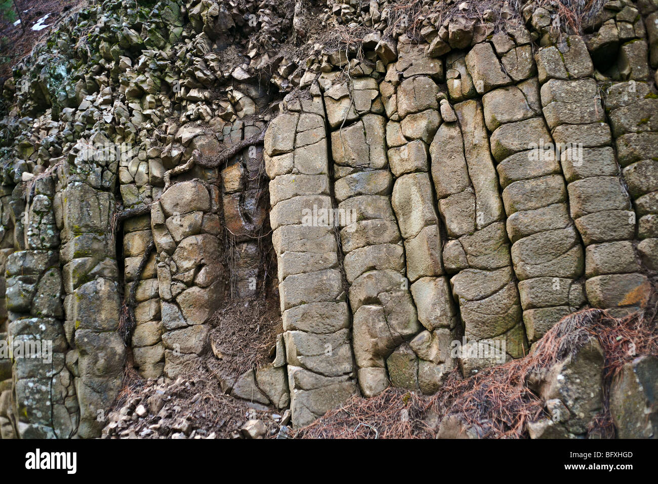 Columnar jointing rock patterns in northern Idaho Stock Photo Alamy