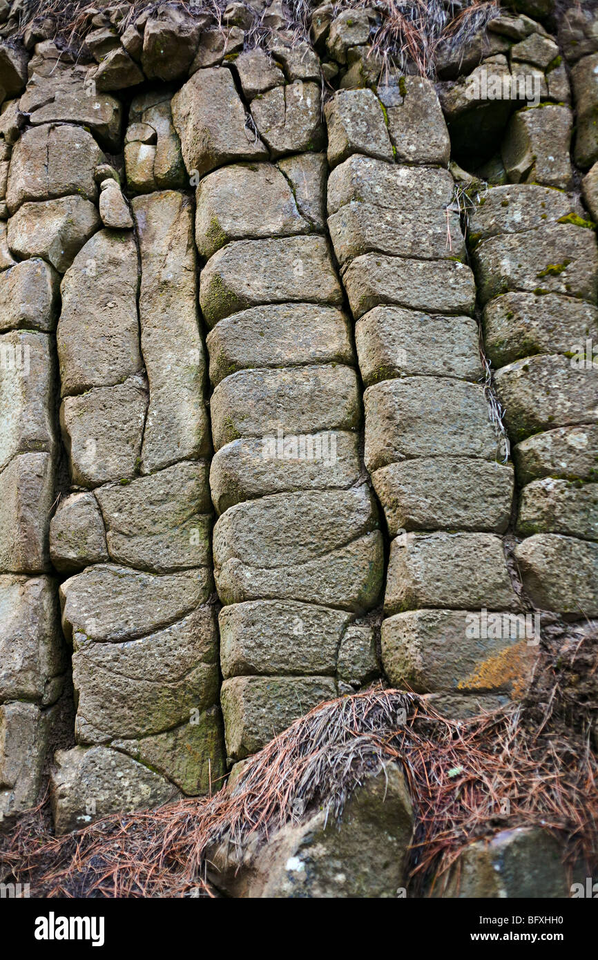 Columnar jointing rock patterns in northern Idaho Stock Photo Alamy