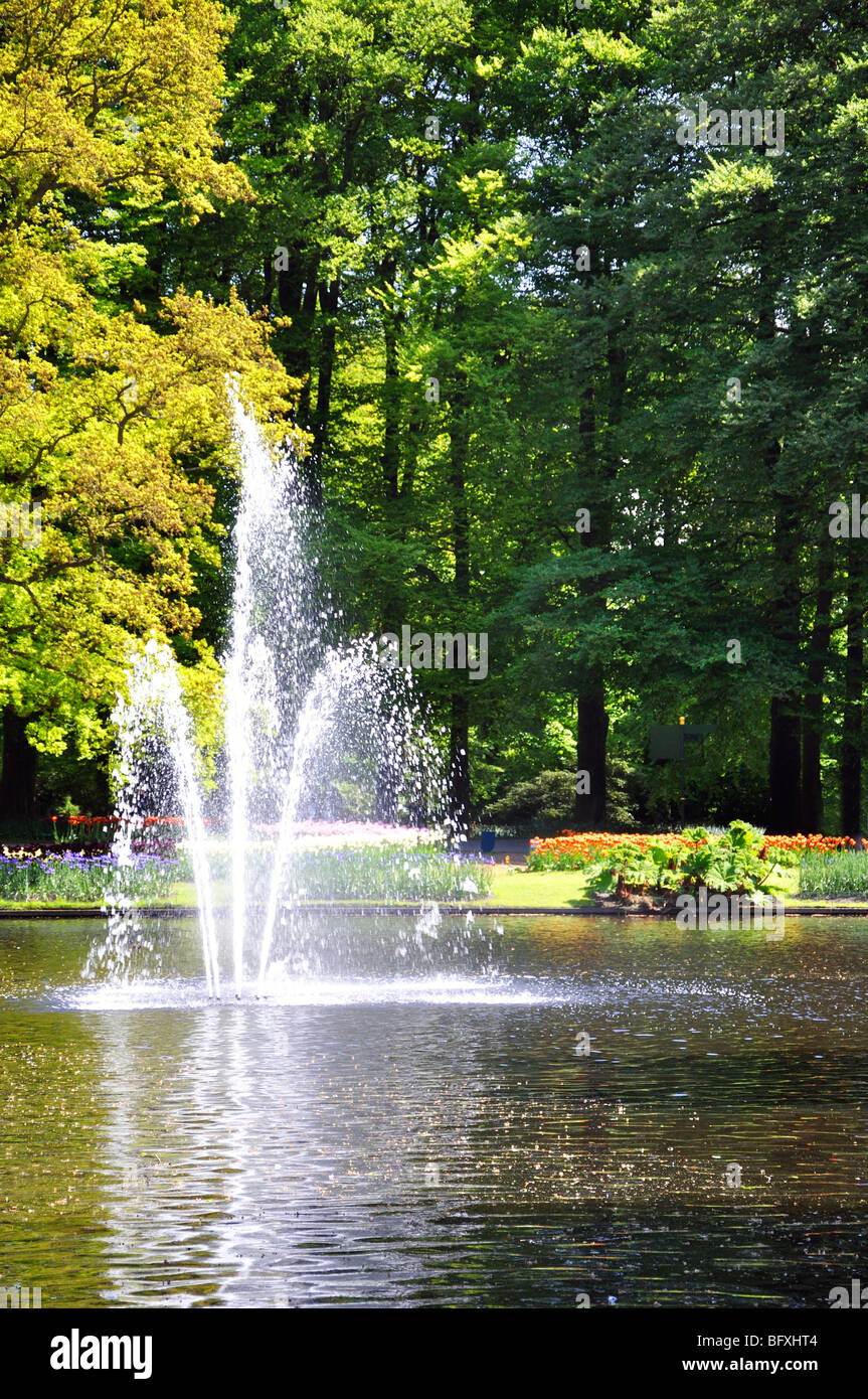 Keukenhof, Netherlands, world's largest flower park Stock Photo Alamy