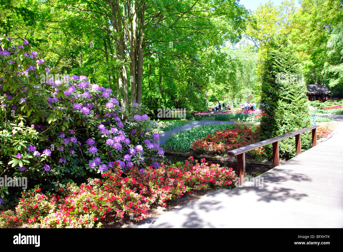 Keukenhof (Holland) the largest flower park in the world Stock Photo
