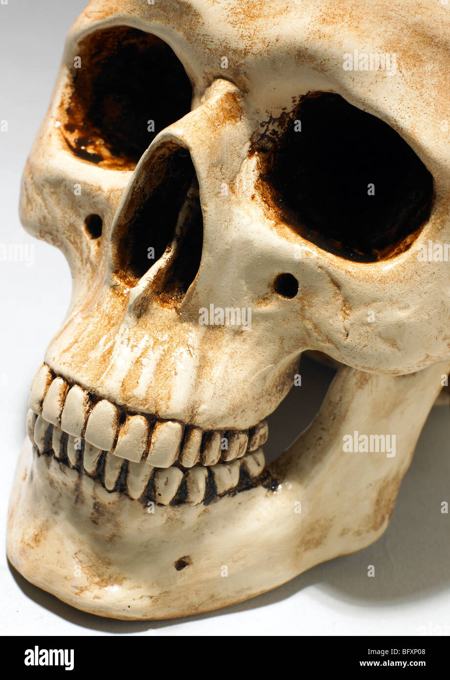 Part of a human skull Stock Photo