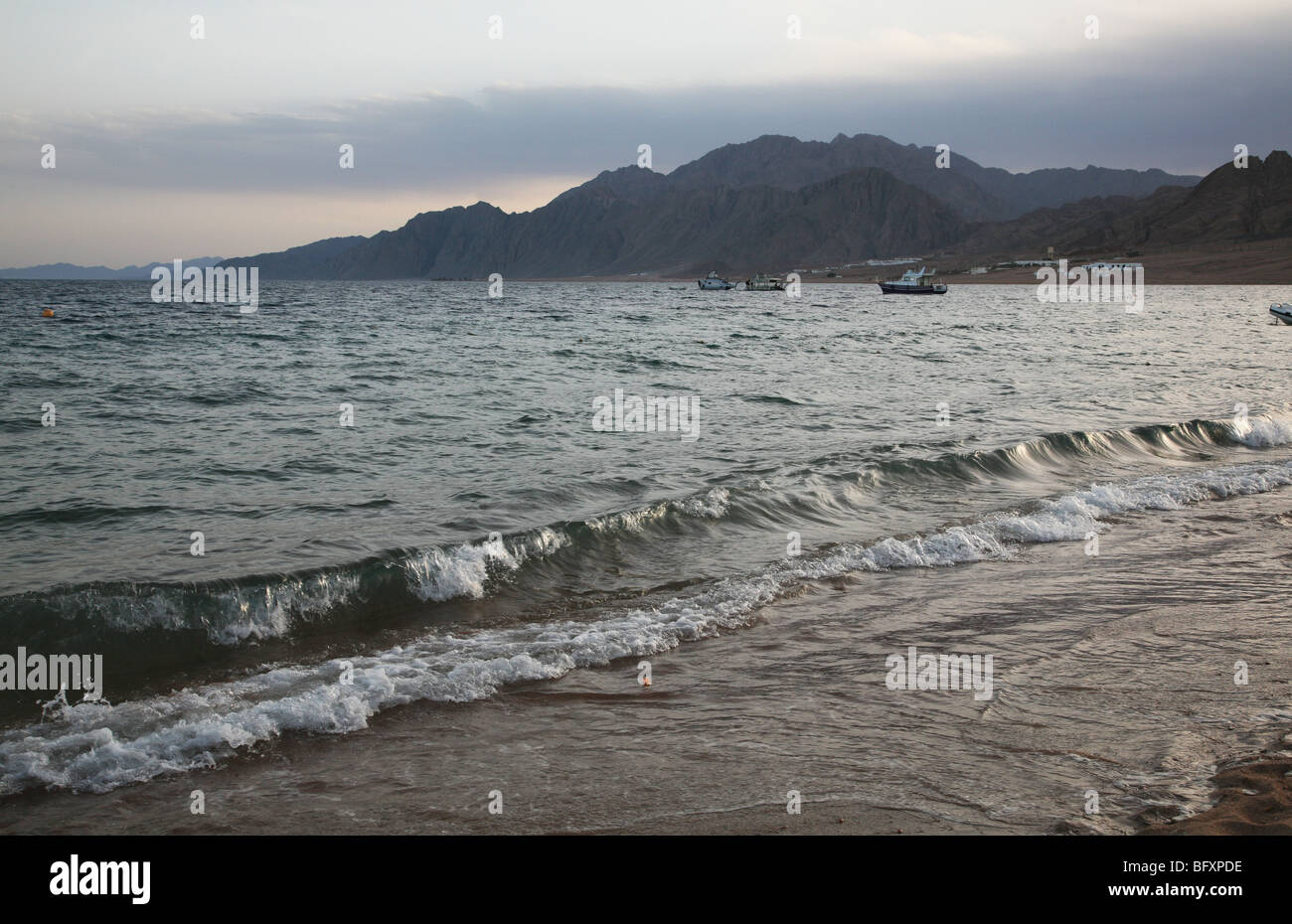 Beach, red sea. Egypt, Dahab, Sinai Peninsula. Stock Photo