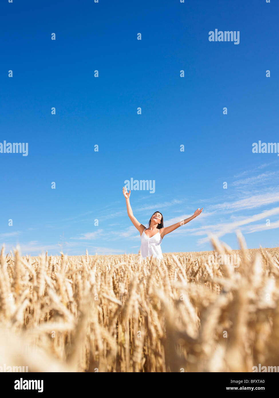 young woman in wheat field Stock Photo - Alamy