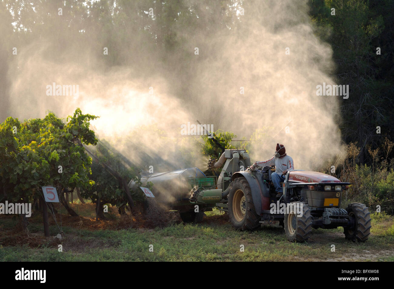 Israel, Negev, Lachish Region, Vineyard, a tractor pulls a tank of pesticide Stock Photo