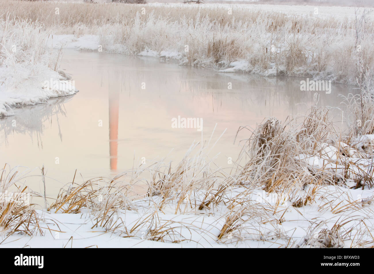 Vale Superstack Frosted grasses and Vale Superstack reflected in open water of Robinson ...
