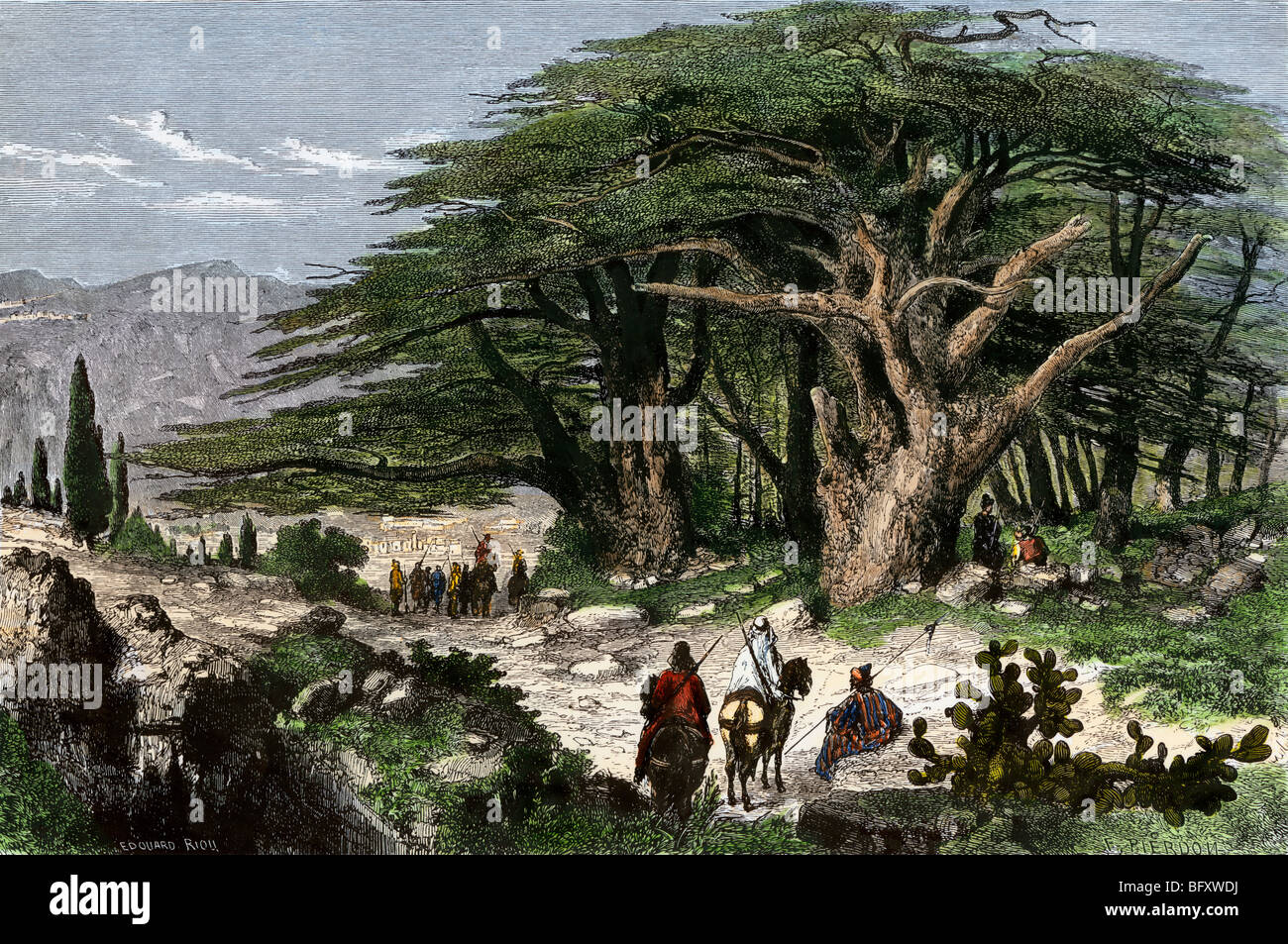 Travelers stopping to rest among a grove of cedars in Lebanon. Hand-colored woodcut Stock Photo
