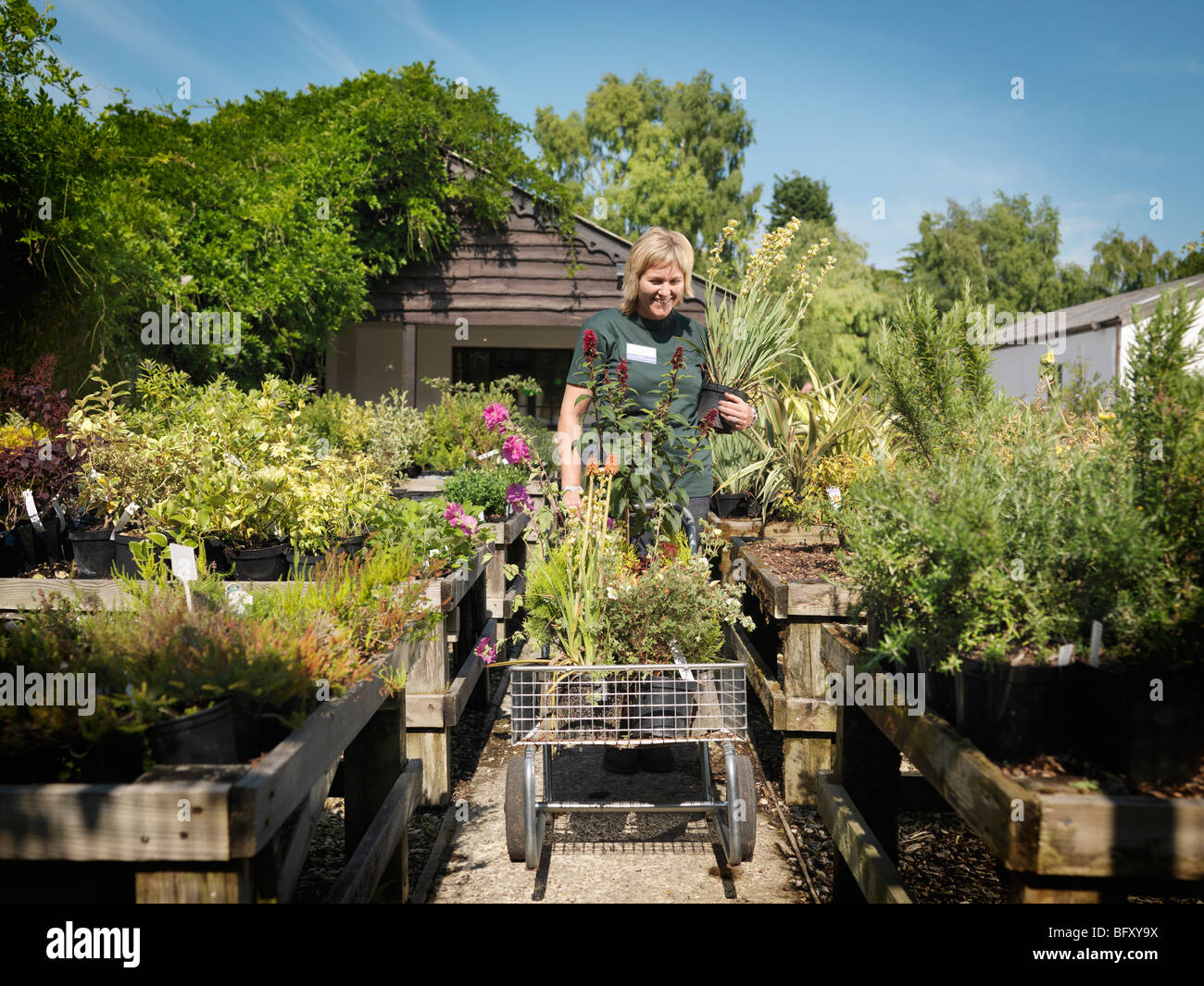 Female care worker hi-res stock photography and images - Alamy