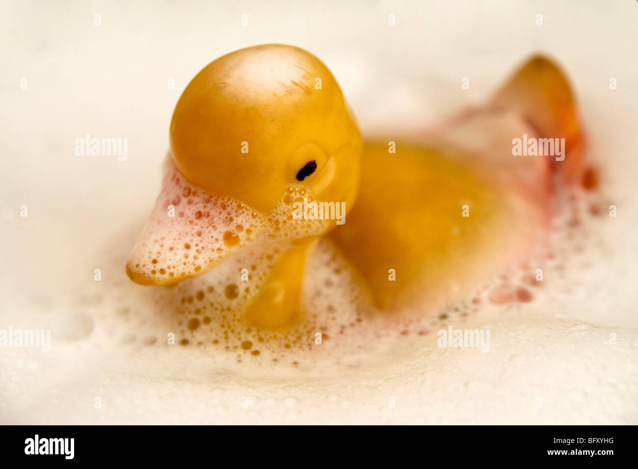 rubber duck in bath with soap bubbles on white background Stock Photo ...