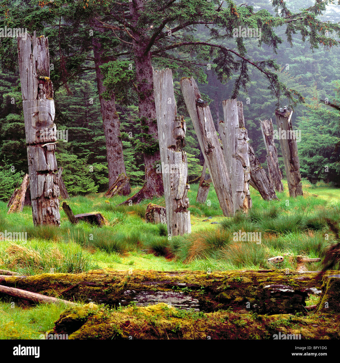 Ninstints, Haida Gwaii, (Queen Charlotte Islands), BC, British Columbia, Canada - Totem Poles, Anthony Island, Gwaii Haanas Park Stock Photo