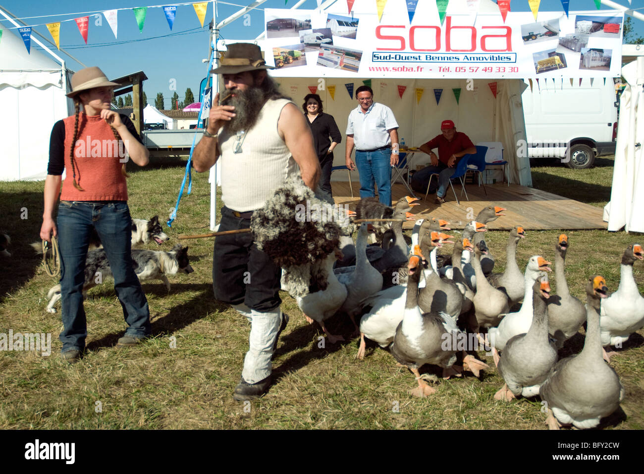 Geese are paraded at a Gascon fair under the watchful guard of sheepdogs and their Pyrenean owners Stock Photo