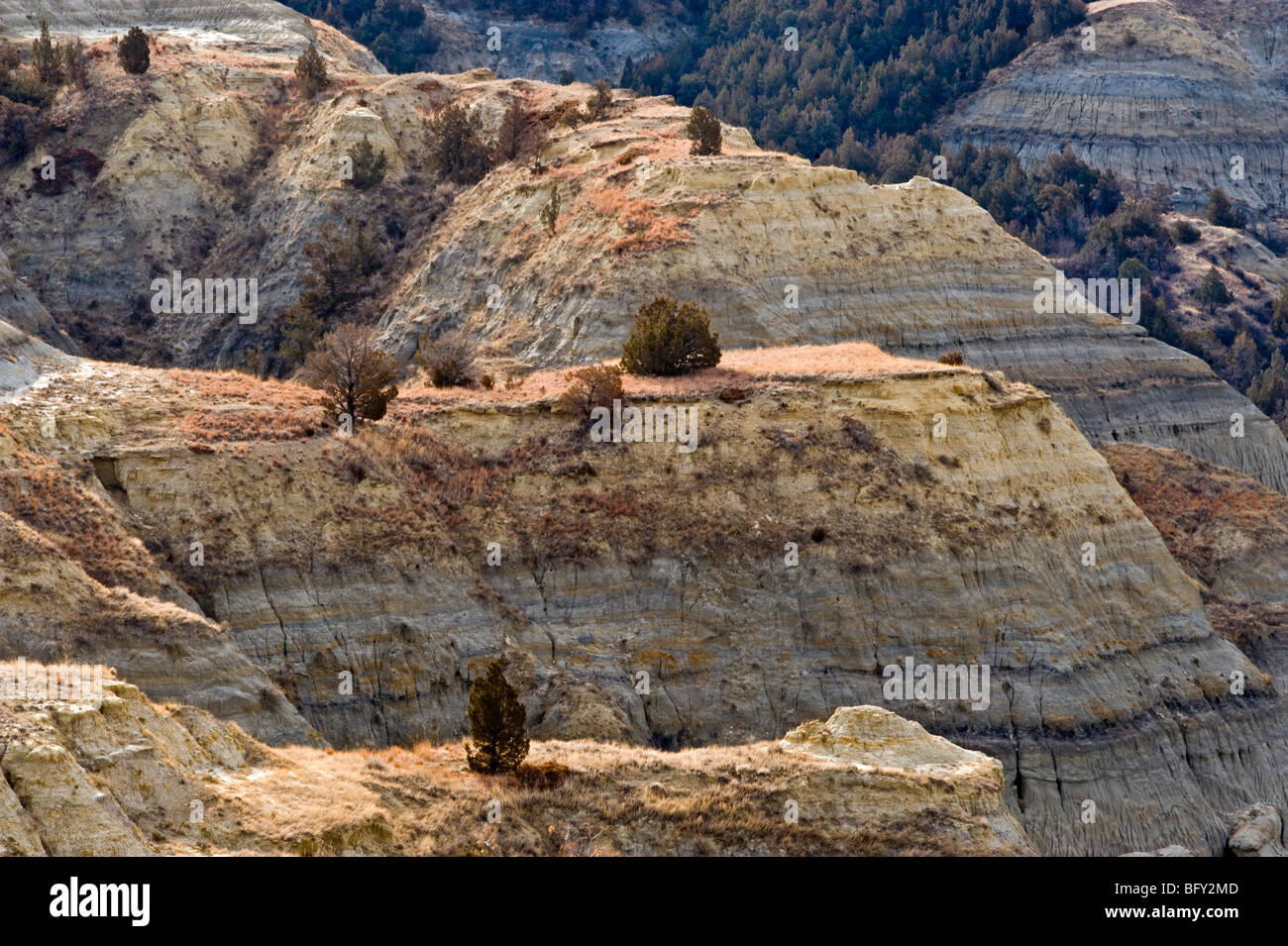 Eroded slopes in Little Missouri River valley, Theodore Roosevelt