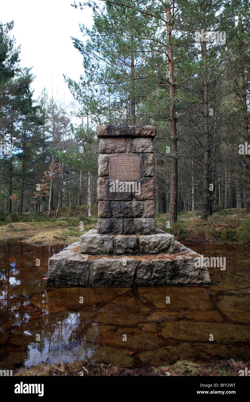Scots Pine forest with monument commemorating the marriage of the Prince of Wales to Lady Diana Spencer on 29 July 1981 Stock Photo