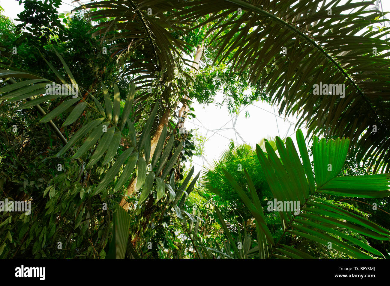 Humid tropics biome hires stock photography and images Alamy