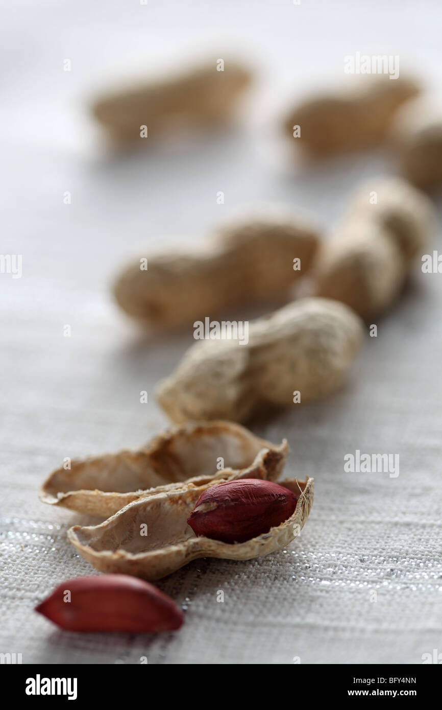 Monkey nuts peanuts shelled shell Arachis hypogaea roast red skinny eat