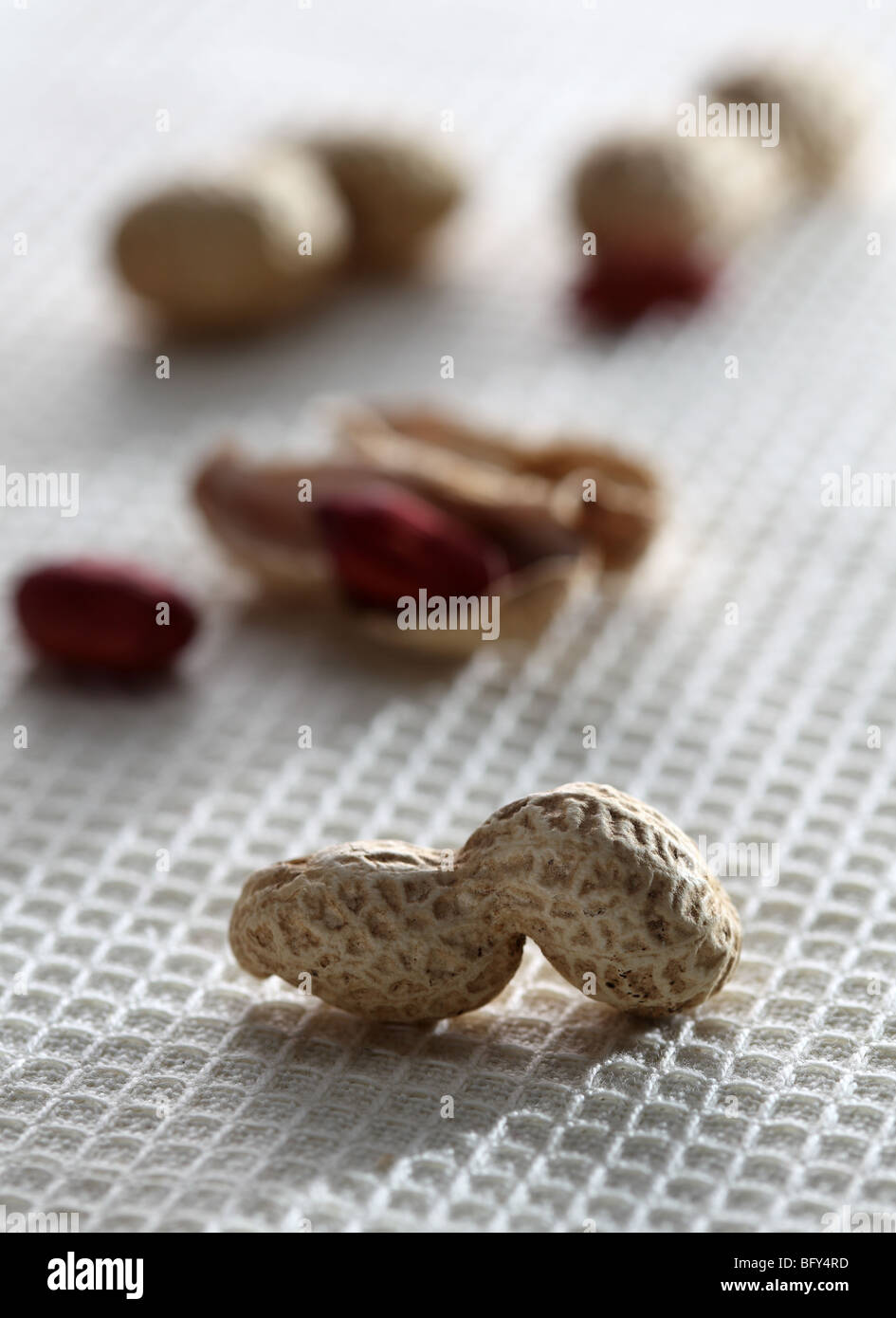 Monkey nuts peanuts shelled shell Arachis hypogaea roast red skinny eat