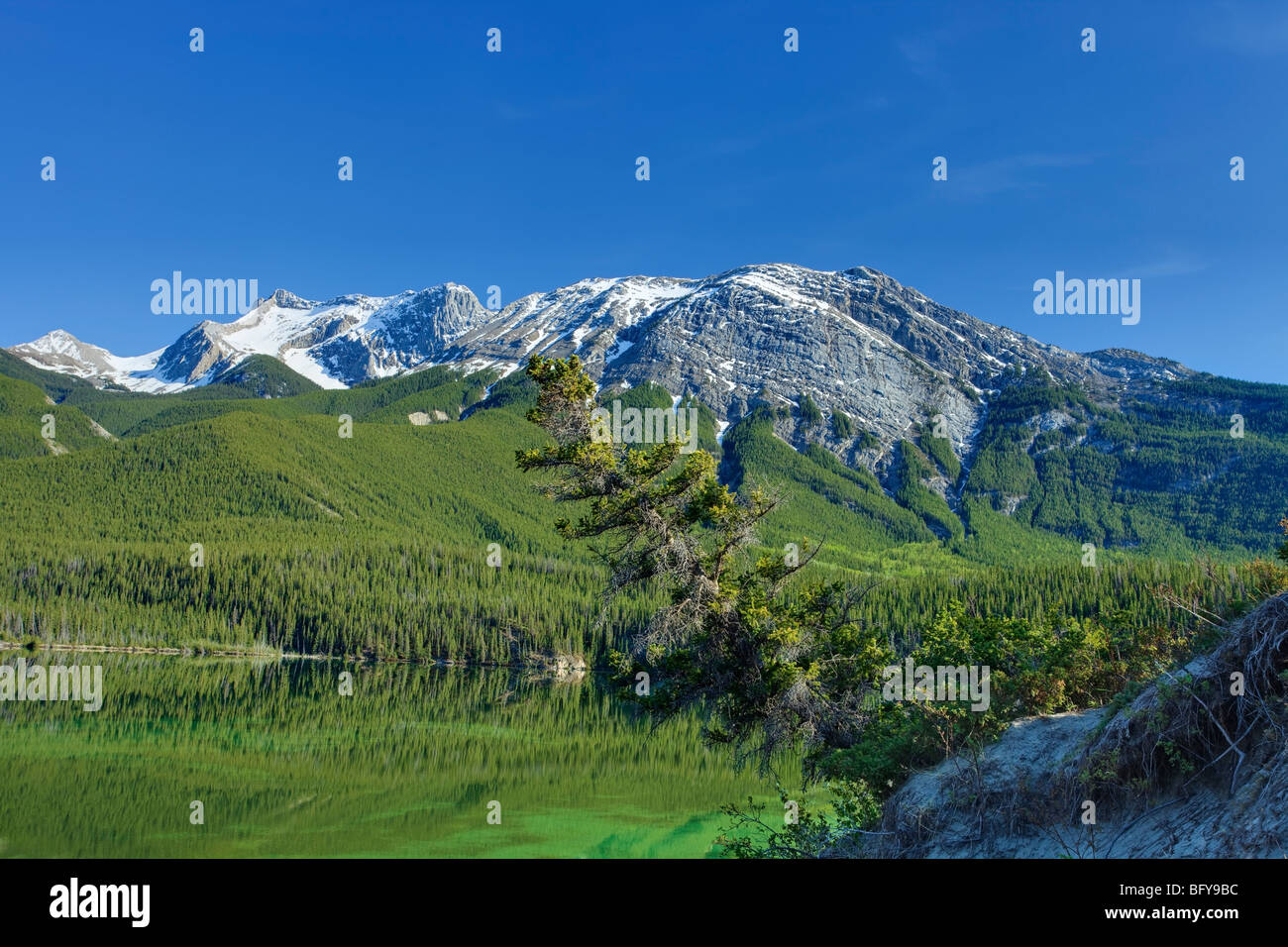 Talbot Lake and Mountain on Sunny Afternoon, Jasper National Park, Alberta, Canada Stock Photo