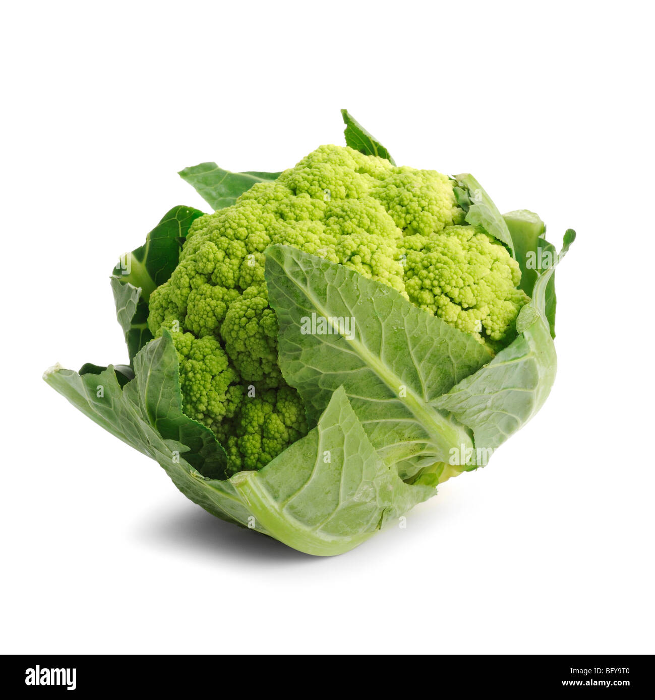 Green Cauliflower Stock Photo