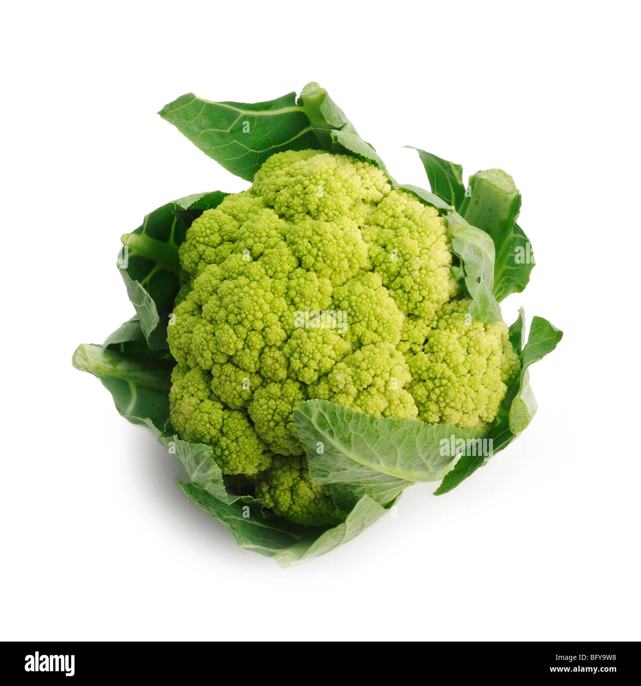 Green Cauliflower Stock Photo