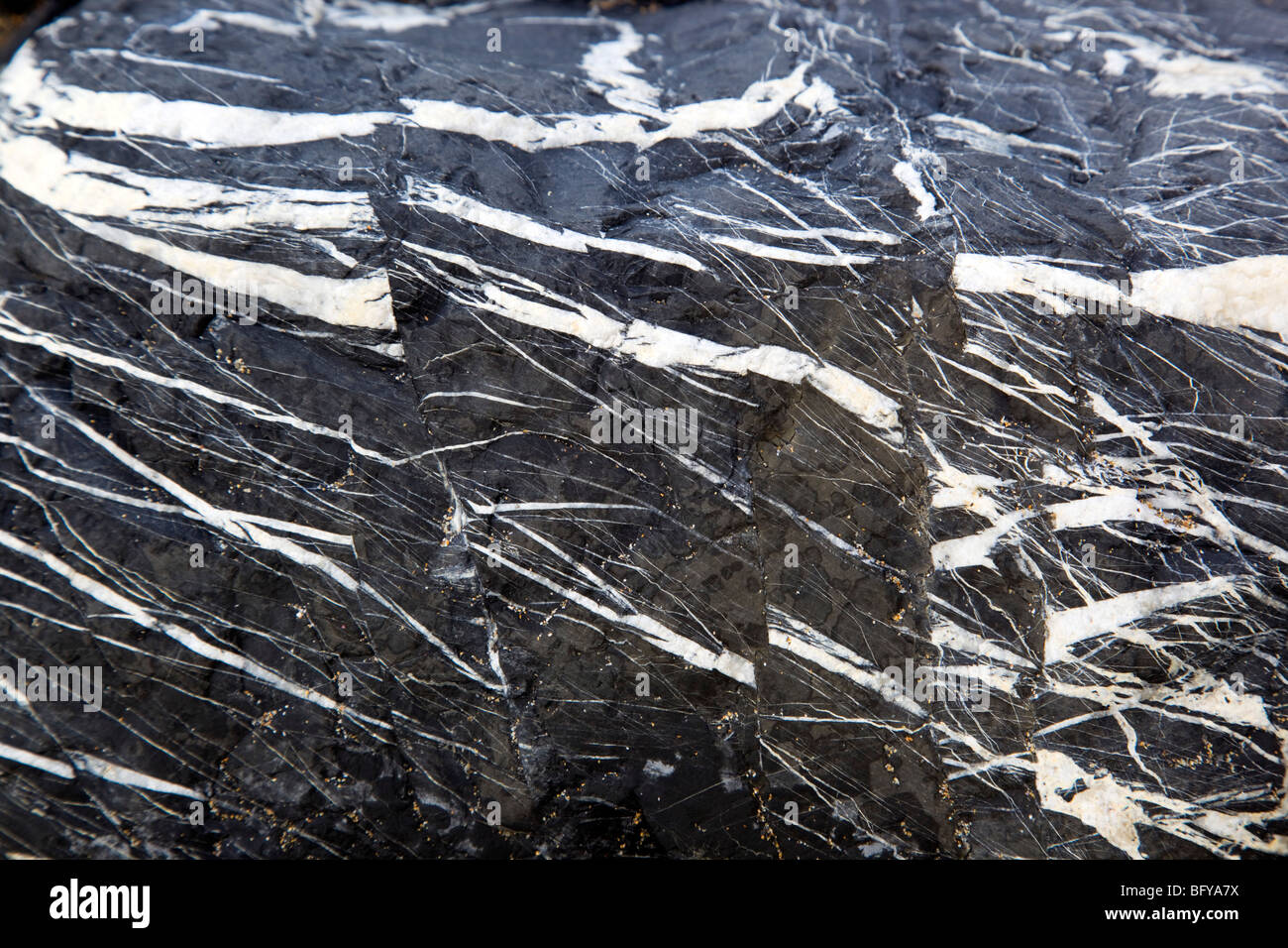 Quartz veins in the rocks at Strangles near Crackington Haven; Cornwall Stock Photo