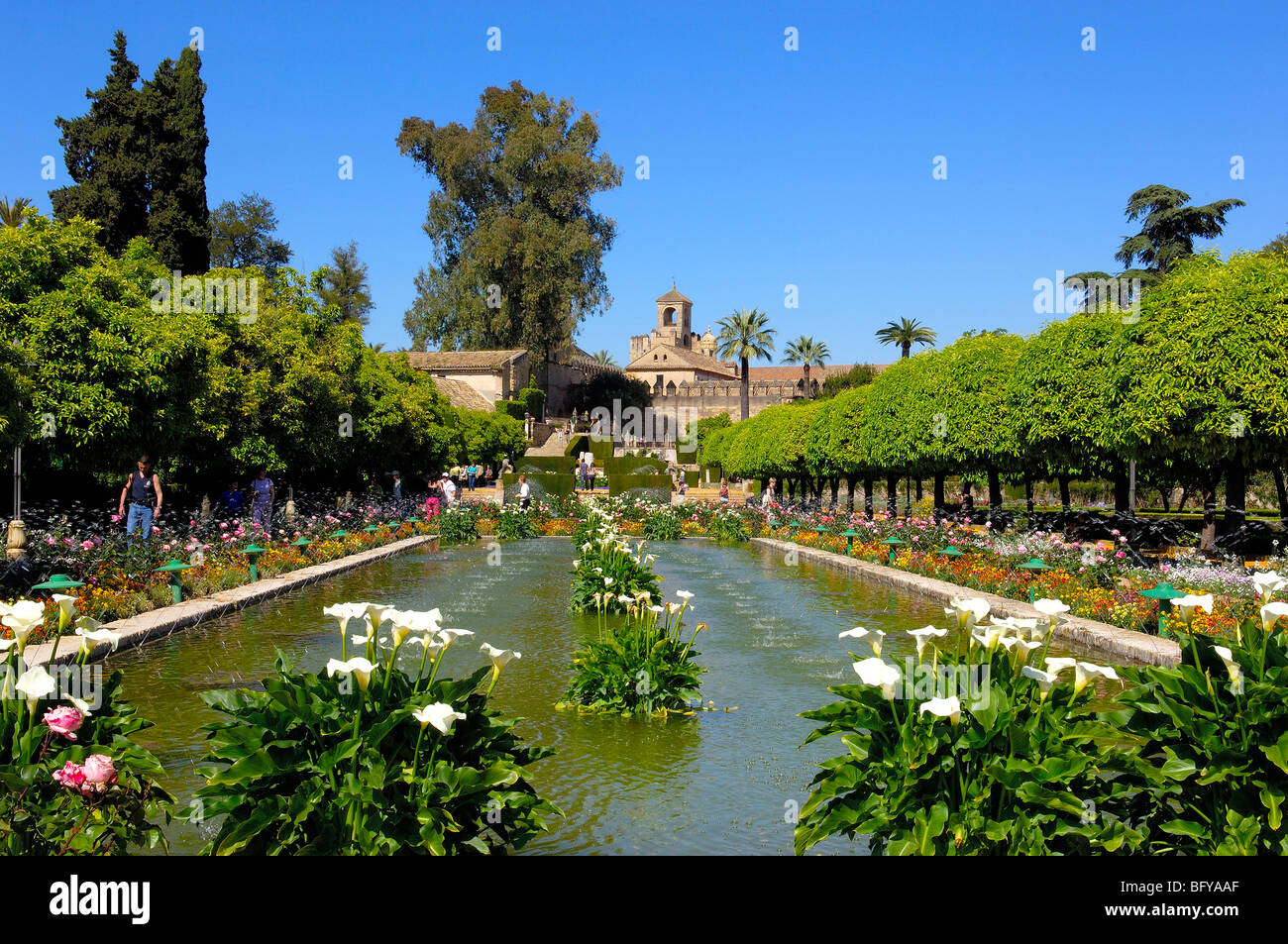 The gardens of the Alcazar of Catholic Kings, Cordoba. Andalusia, Spain Stock Photo