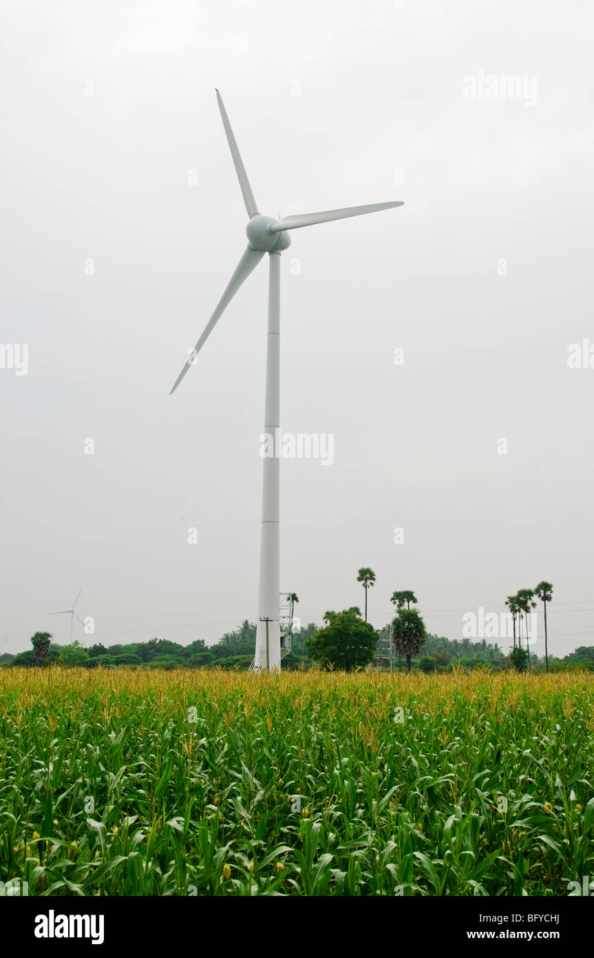 Wind mill in rural village, South India Stock Photo