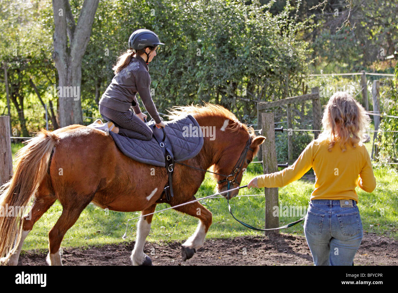 Woman Using Horseback Riding Exercise Machine young girl performing exercises on horseback Stock Photo - Alamy