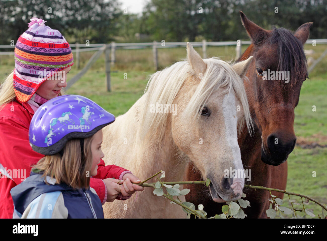 two young girls with ponies Stock Photo