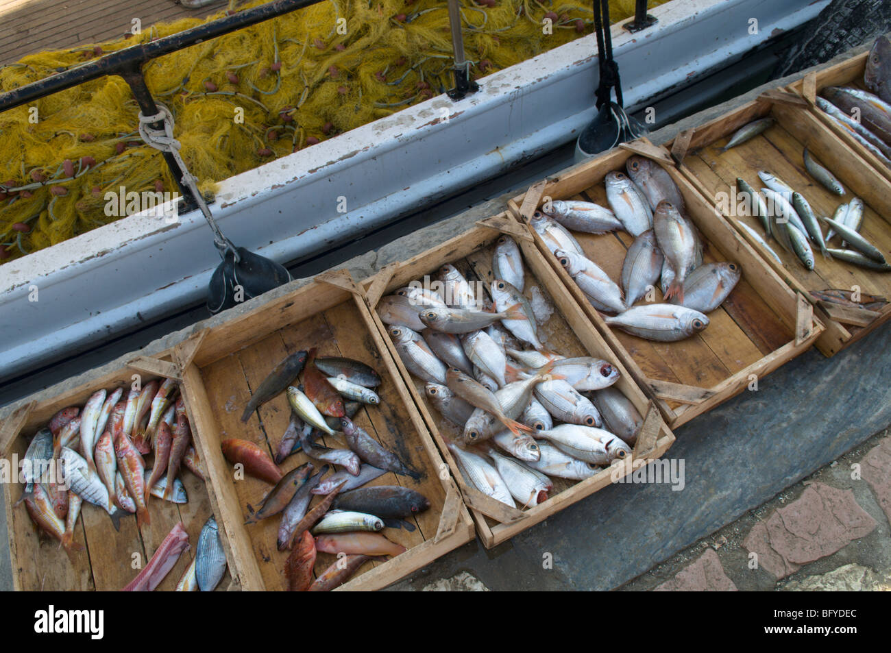 Greece. Zakynthos. Zante. Greek island. October. Fish being sold