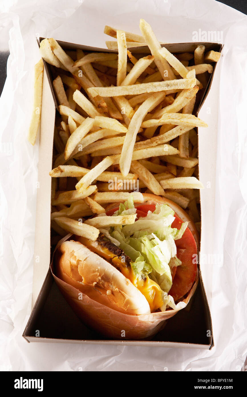 Fast food in take out box Stock Photo