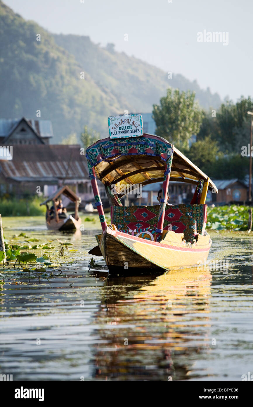 Boat taxi (shikara) takes his passengers around Dal Lake in Srinagar, Kashmir, India. Stock Photo