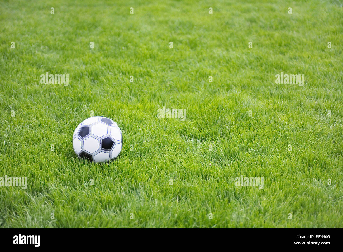 still life of football in grass Stock Photo