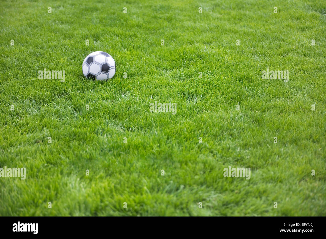 still life of football in grass Stock Photo