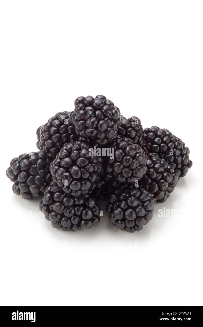 Blackberries on white Stock Photo