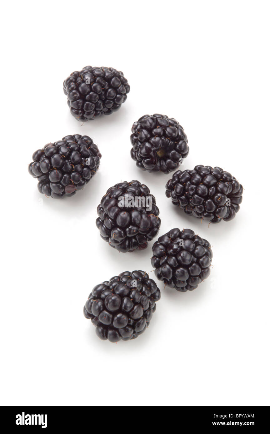 Blackberries on white Stock Photo