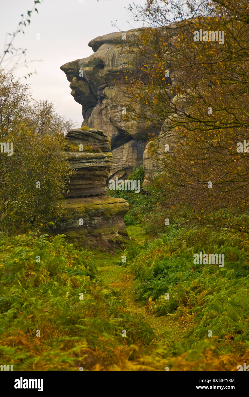 Brimham rocks are a set of rock formations in Nidderdale spread across 50 plus acres of Brimham Moor. Stock Photo