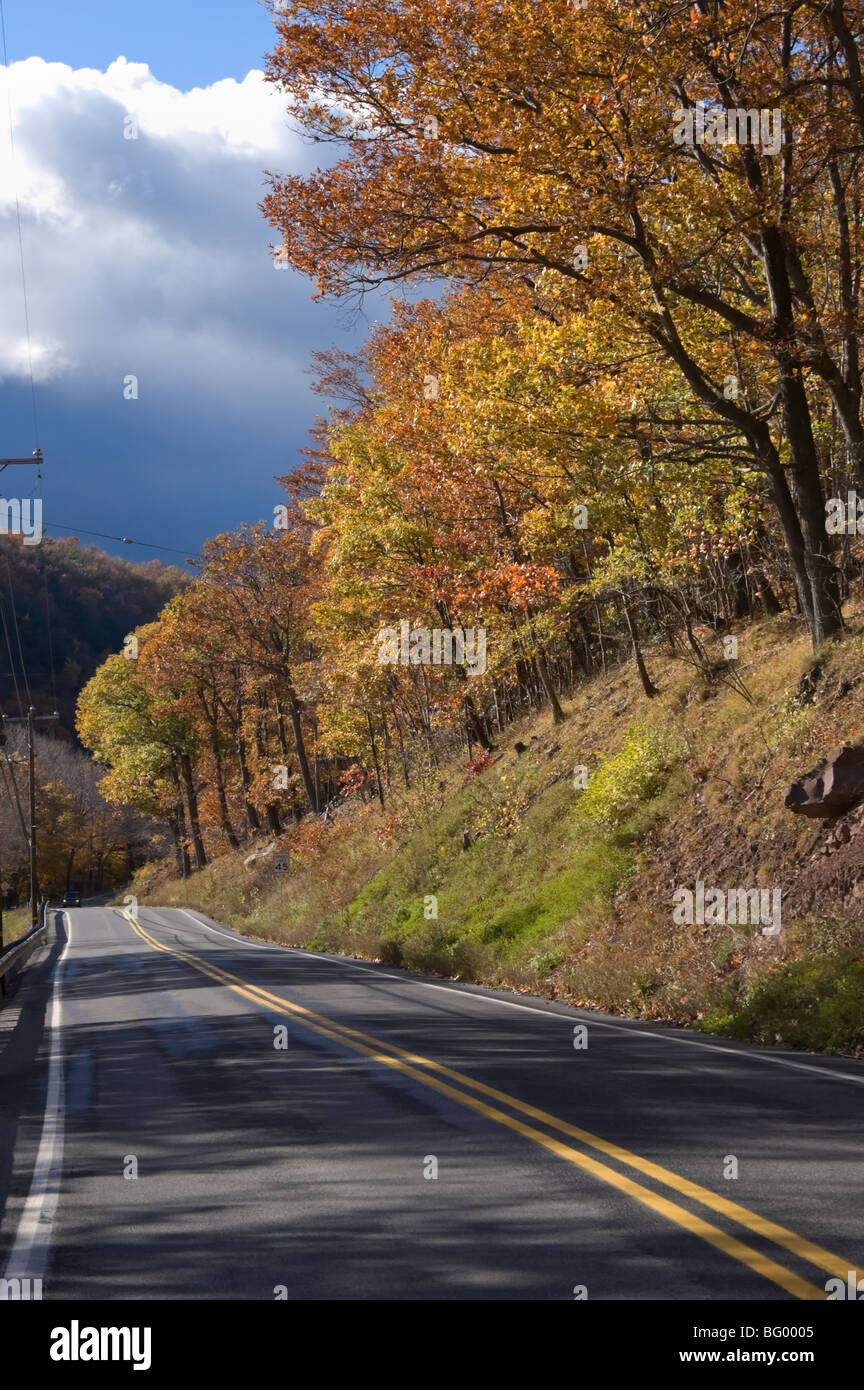 Sunny road in dappled sunlight, a highway and hillside in rural Pennsylvania, USA. Stock Photo