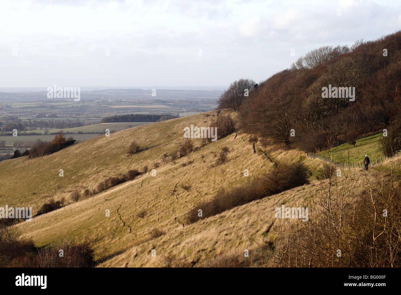 Aston Rowant Nature Reserve Oxfordshire Stock Photo