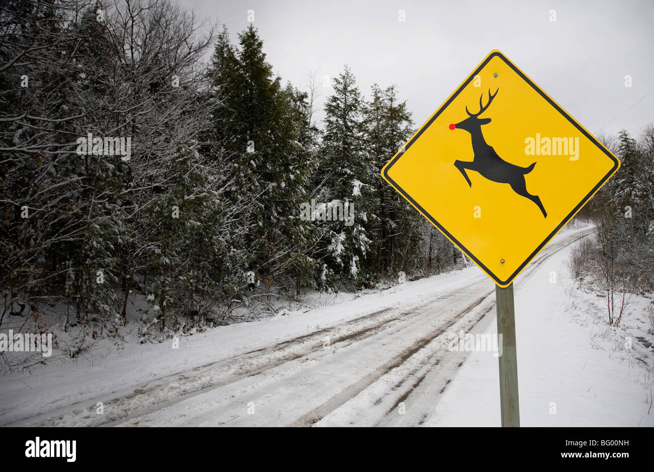 Rudolph the red nosed reindeer road sign Stock Photo