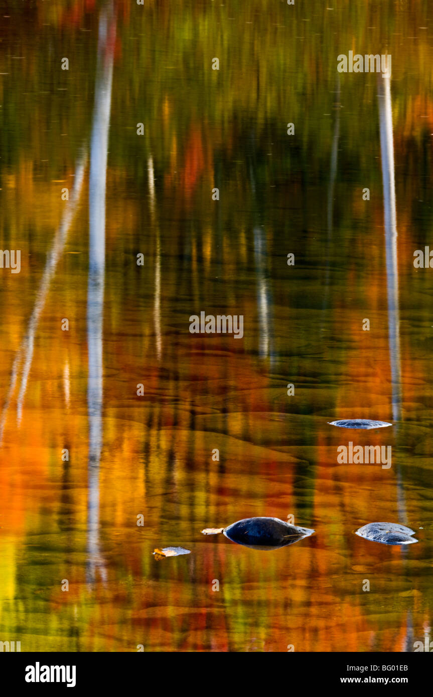 Autumn reflections in Little White River, Iron Bridge to Elliot Lake, Ontario, Canada Stock Photo