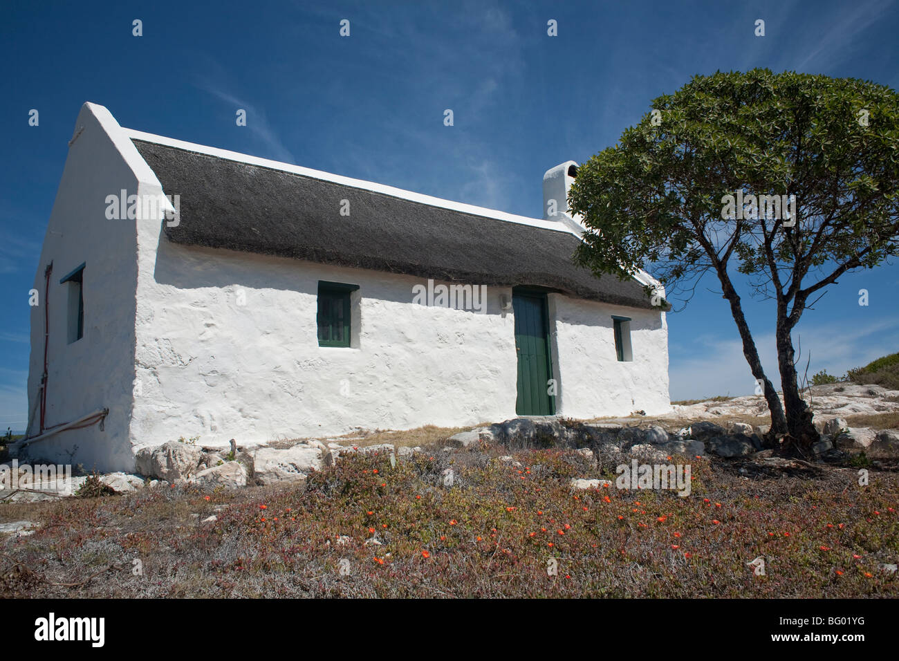 White cottage thatched roof hi-res stock photography and images - Alamy