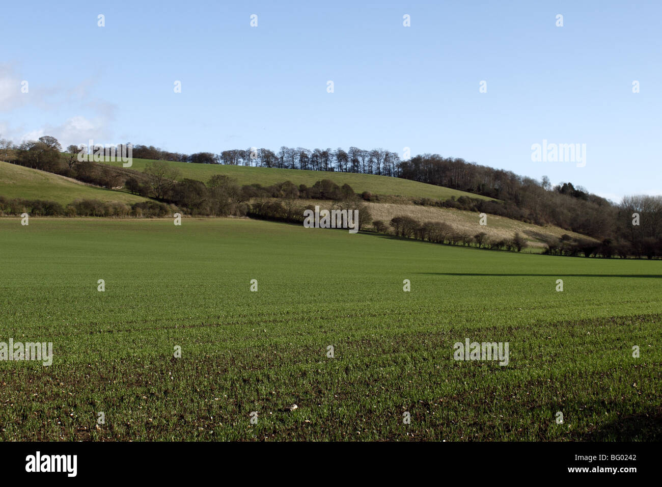 Chiltern Hills near Hambleden Thames Valley Buckinghamshire Stock Photo
