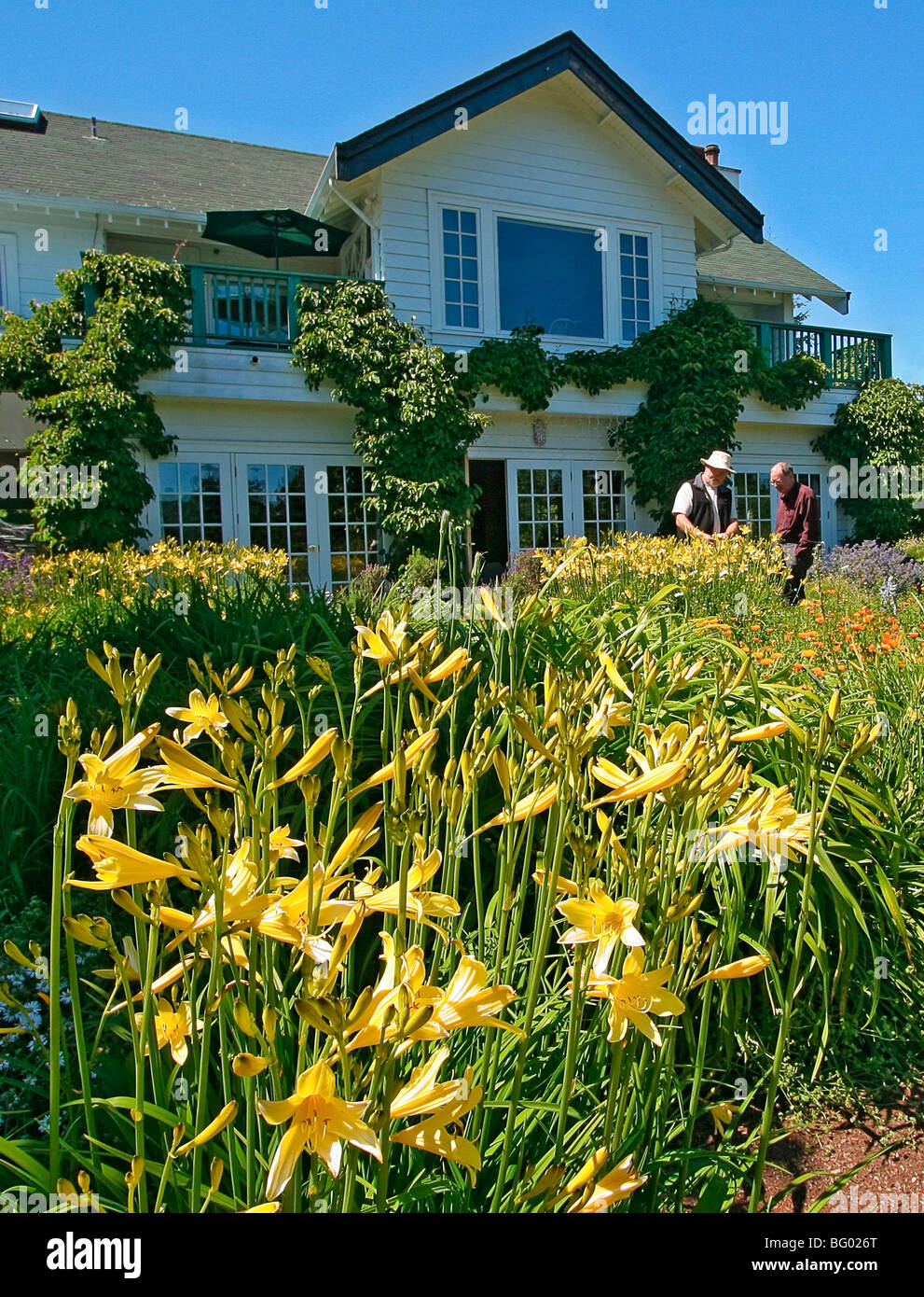 Sooke harbour house hires stock photography and images Alamy