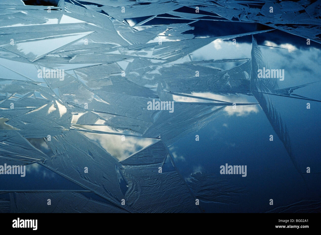 Ice forming on water surface Stock Photo - Alamy