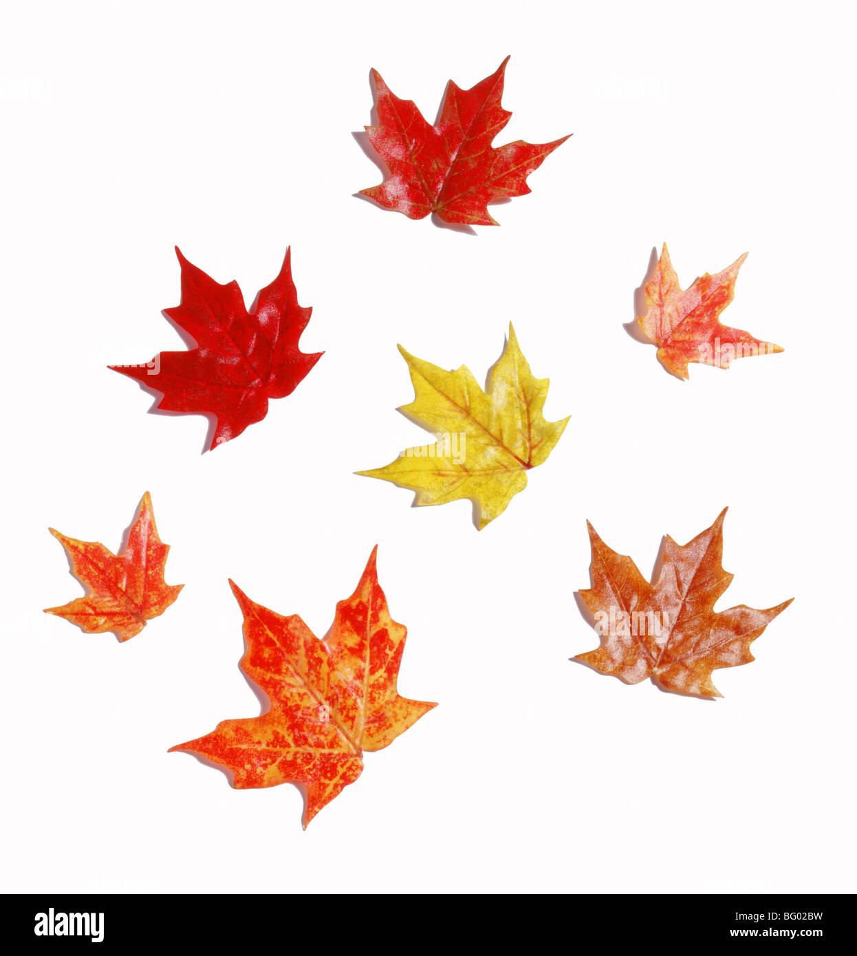 Outline of fabric fall leaves Stock Photo