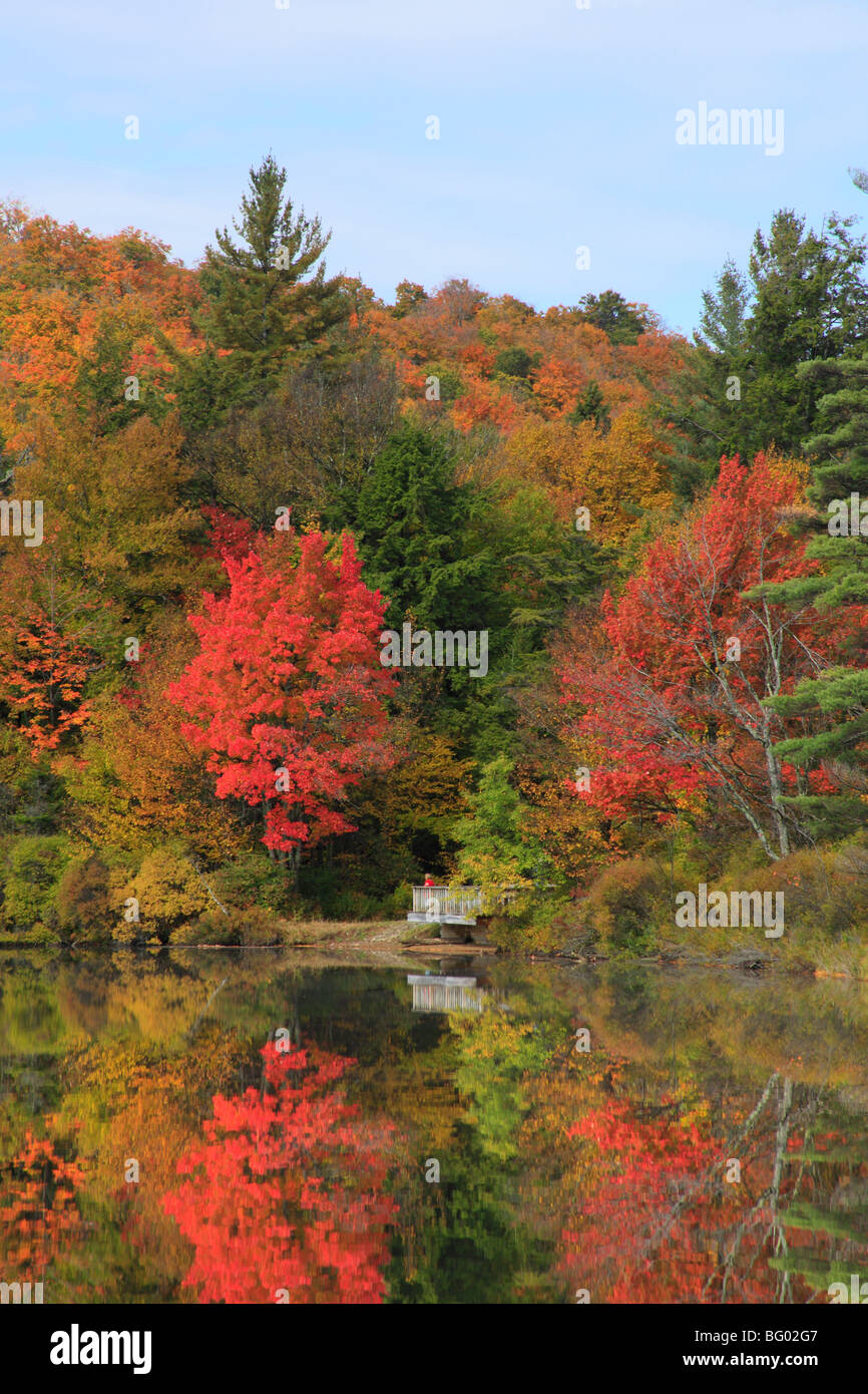 Forked Lake, Eagle Bay, Adirondacks; New; York Stock Photo - Alamy