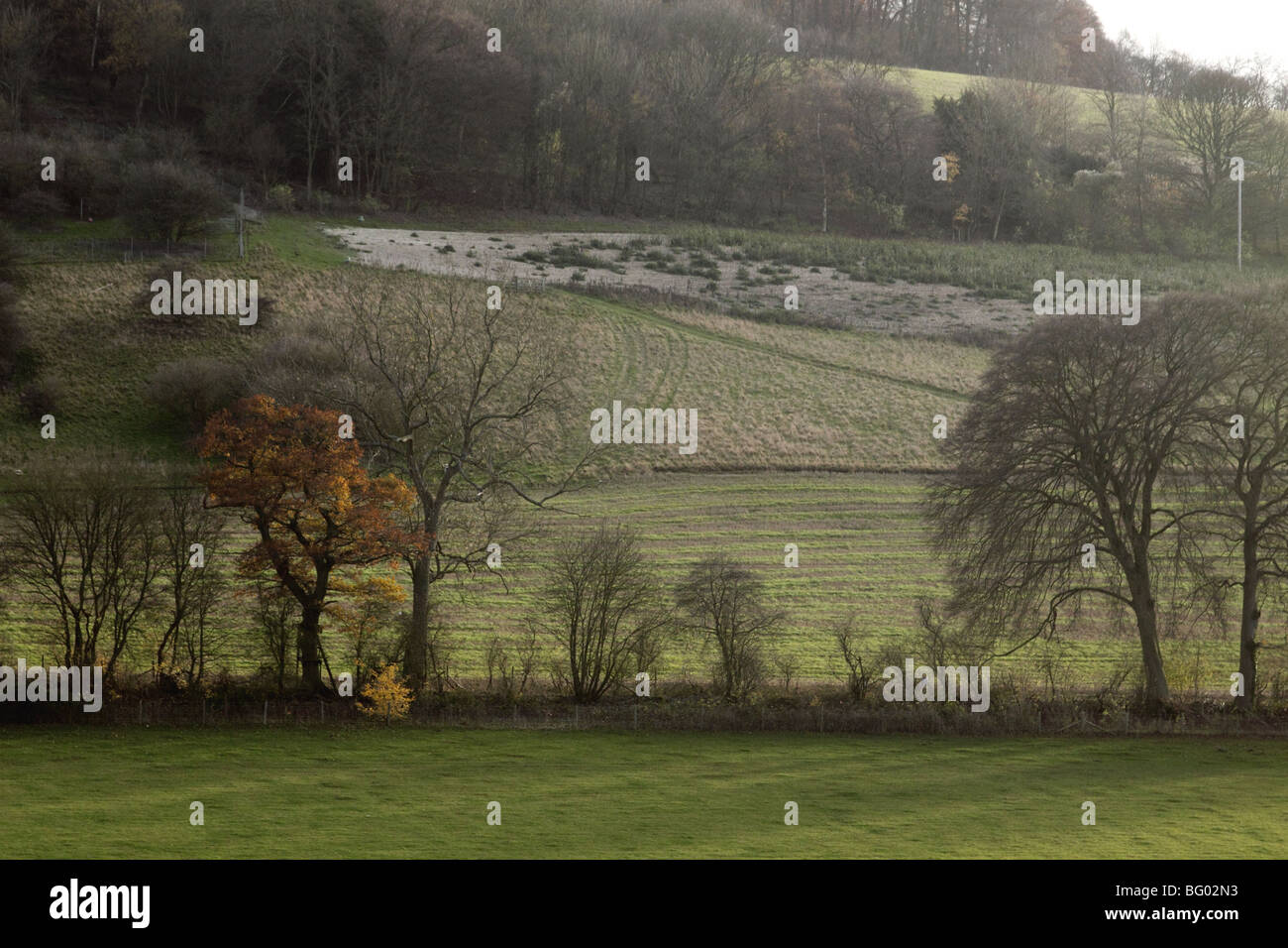 Chiltern Hills near Watlington Oxfordshire Stock Photo