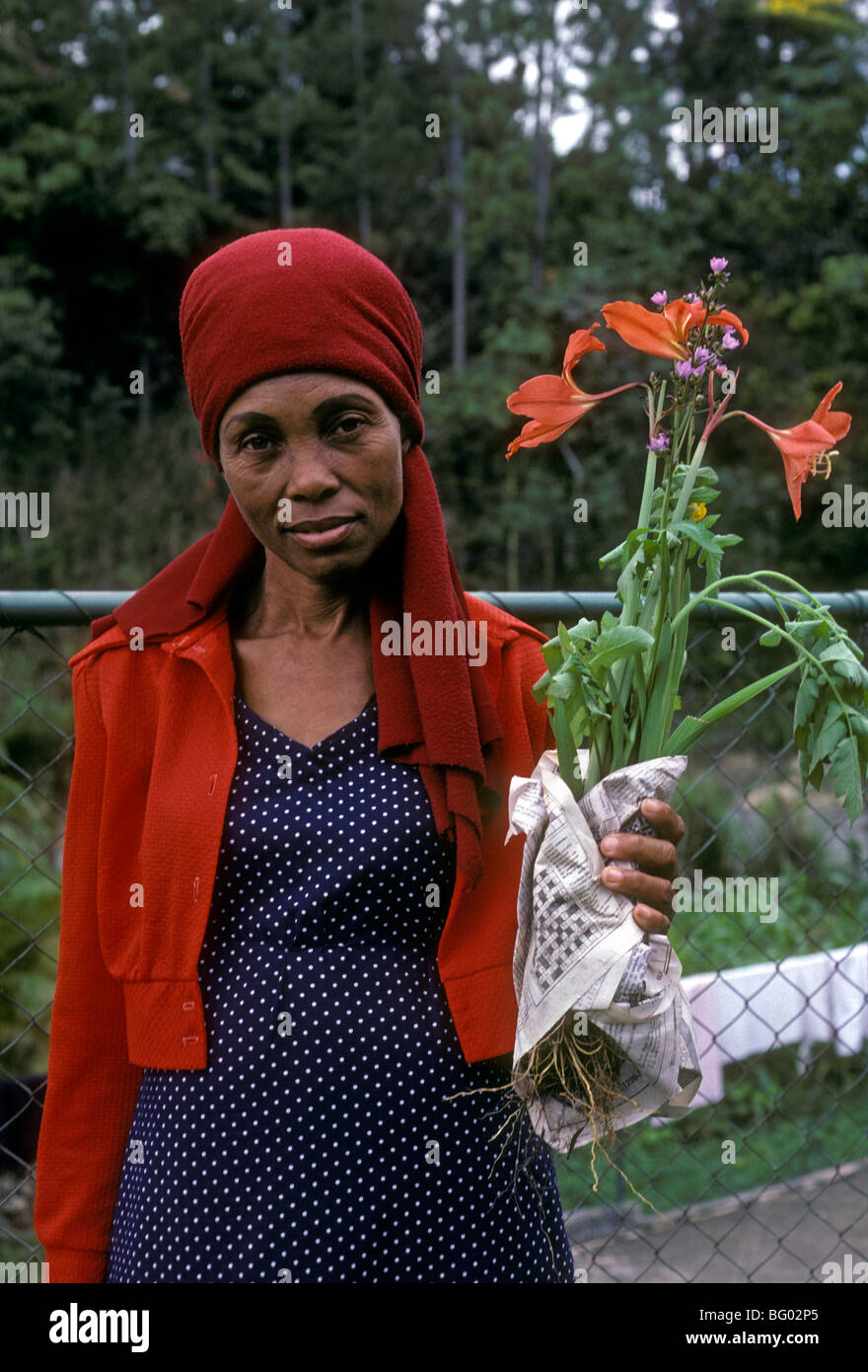 Albert town jamaica hires stock photography and images Alamy